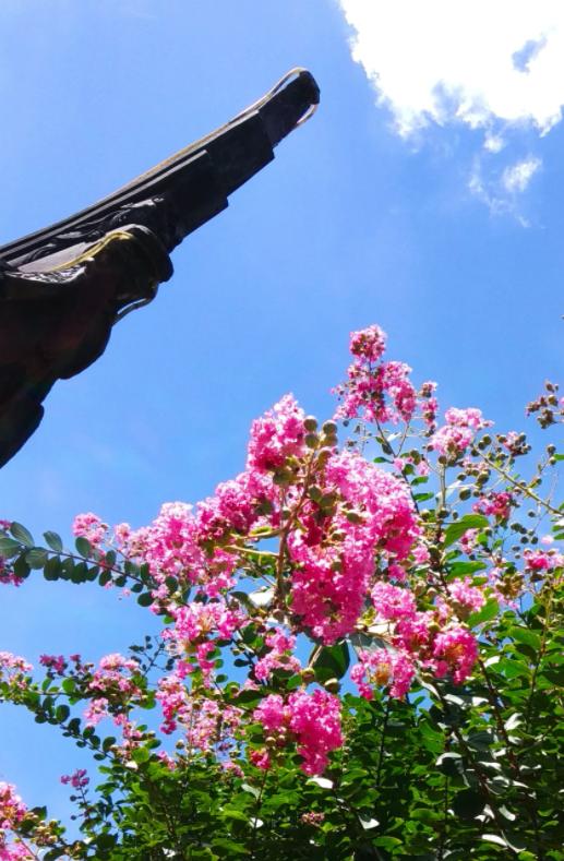 三人行|​一醉管他寒与暑醉里扁舟烟水处（原创诗词唱和15首）