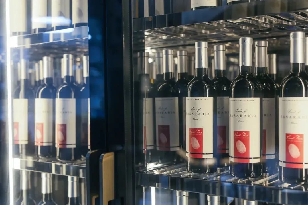 广州探店美食推荐,广州探店美食旅行干货