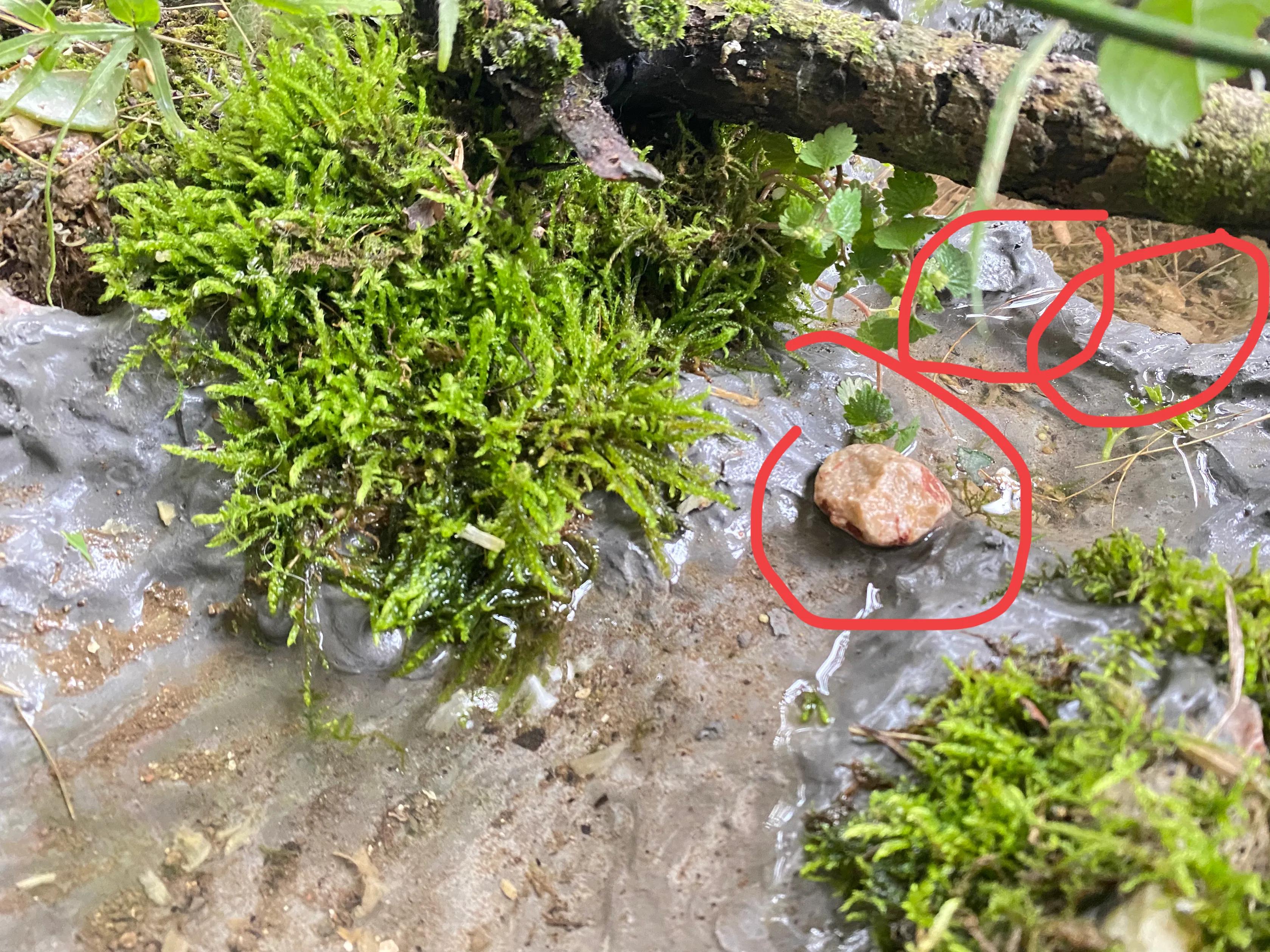 怎么快速查出水池漏水原因,水池漏水如何查漏维修