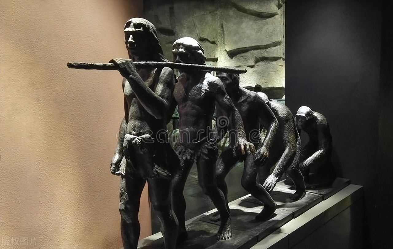 人类起源类人猿纪录片,探讨一下人类的起源