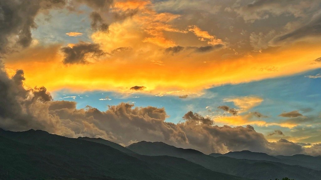 国内期权交易开户条件,期权开户条件视频