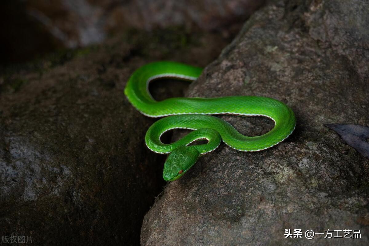 出马仙堂口仙家职责顺序,出马仙堂口供奉的菩萨