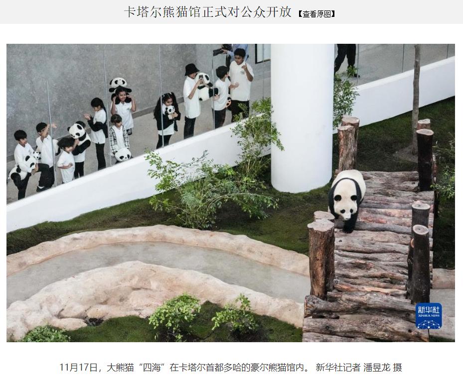 韪㈣耽鍥藉畨鐨勫幙闃熻澶勭綒浜嗗悧,鐢樿們璐洶鍘胯冻鐞冮槦韪㈣耽鍖椾含鍥藉畨