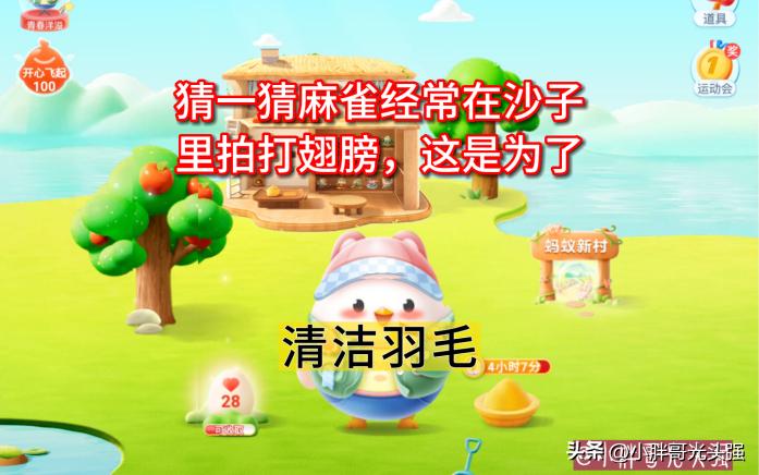 猜一猜麻雀经常在沙子里拍打翅膀，这是为了捉小虫吗？蚂蚁庄园