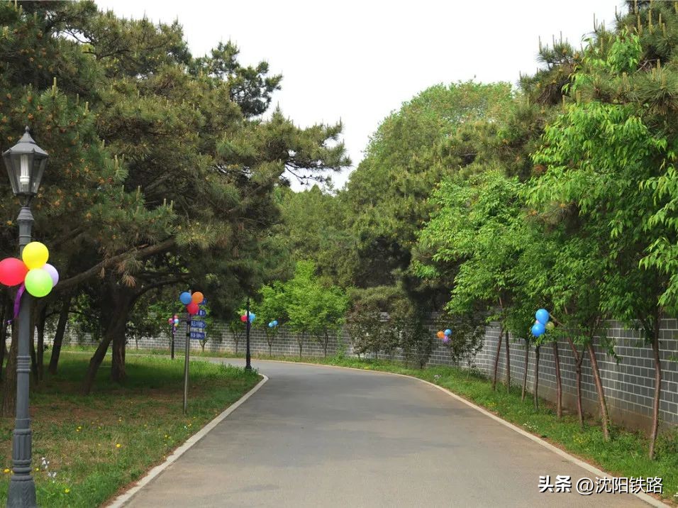 温泉婚宴酒店,温泉酒店婚礼宴席推荐