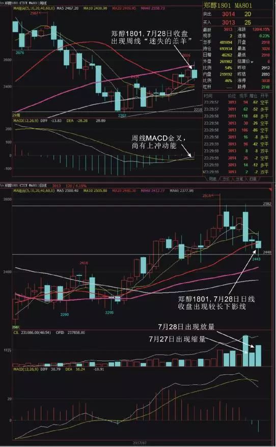 被“夜老虎”打趴下去后，我如何成为一个稳定盈利的“狩猎者”？