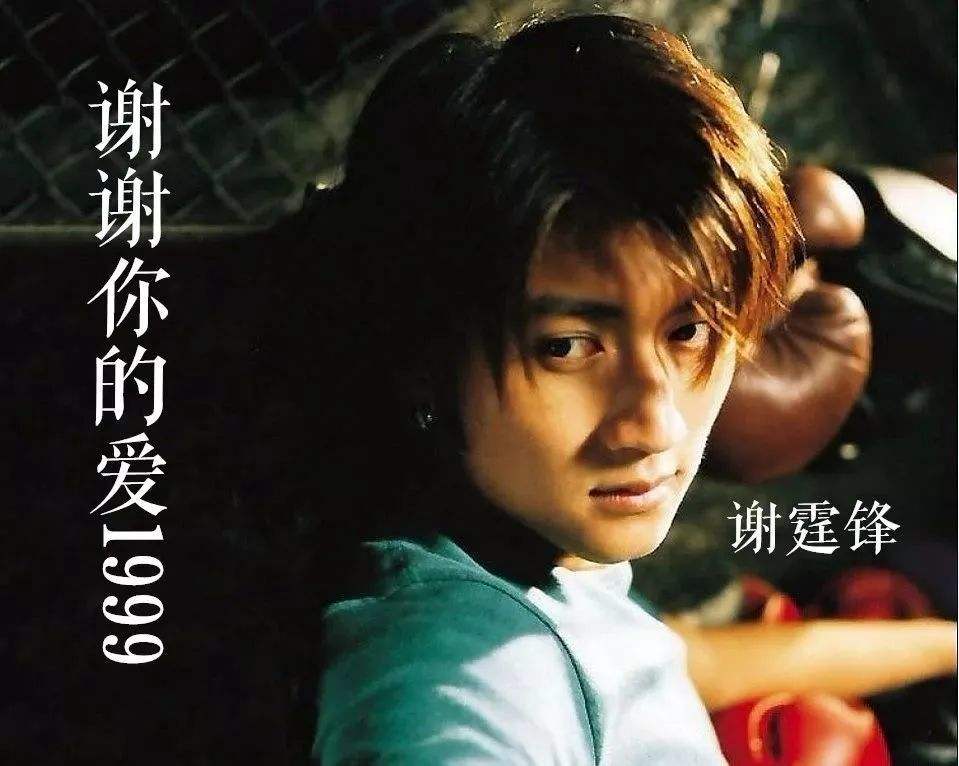 谢霆锋到底是帅还是酷,谢霆锋是真心对王菲吗