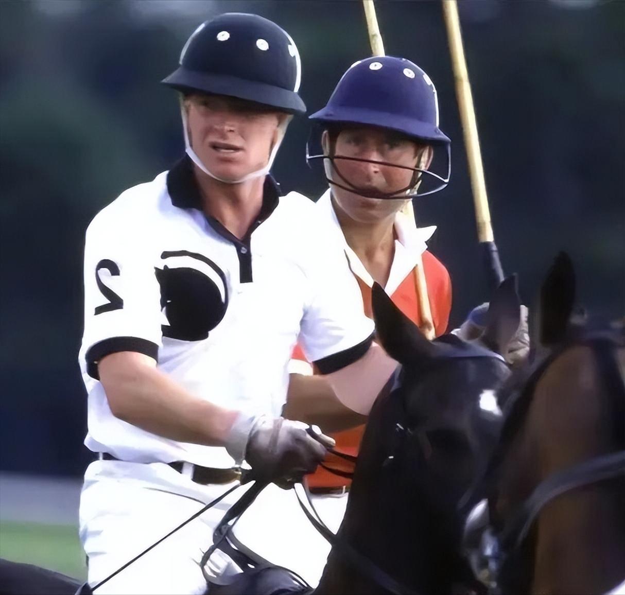 戴安娜和多迪分手原因,戴安娜和多迪什么关系