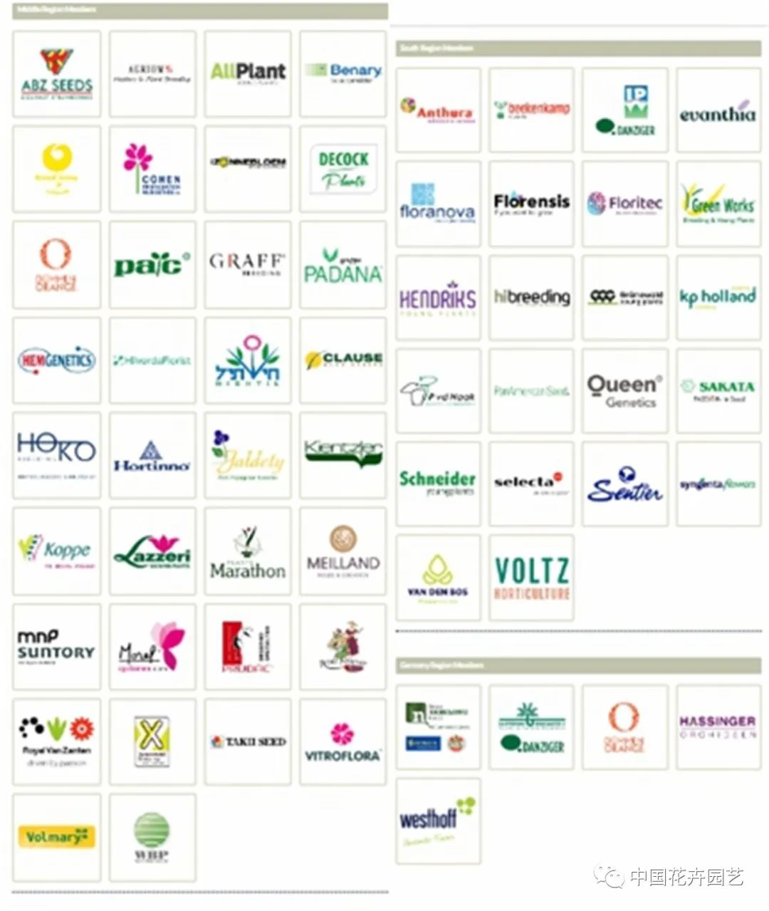 鑺卞崏鍝佺灞曠ず,鏂颁紭鑺卞崏鍝佺灞曠ず