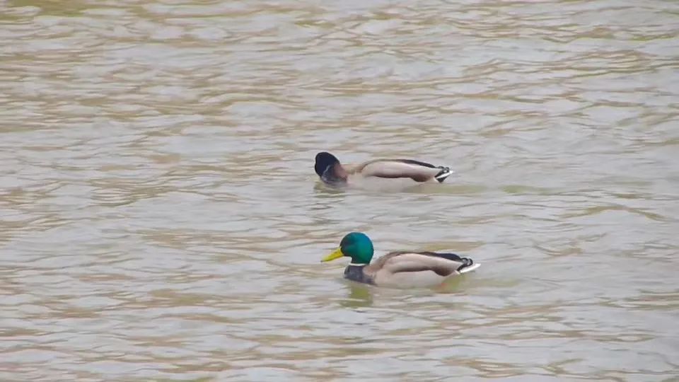 提到贵州你的第一印象是什么,提到甘肃的第一印象是什么