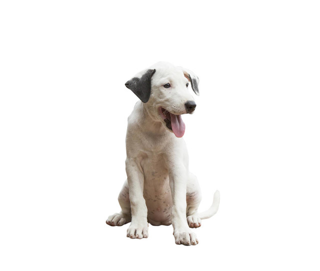 每日自省：在家庭中找准自己的位置，责任不能缺失，但也不能越位