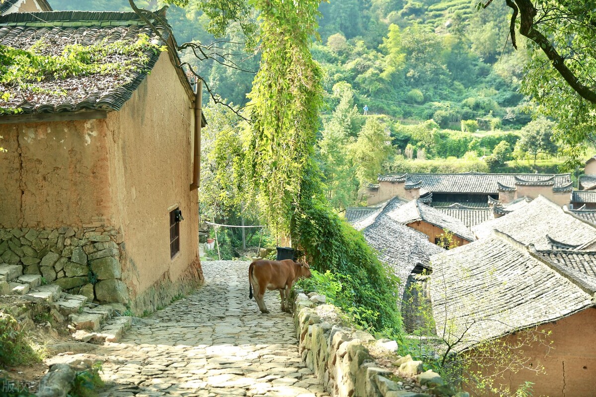 农村宅基地严查，多出的宅基地咋办？4种“一户多宅”不用拆