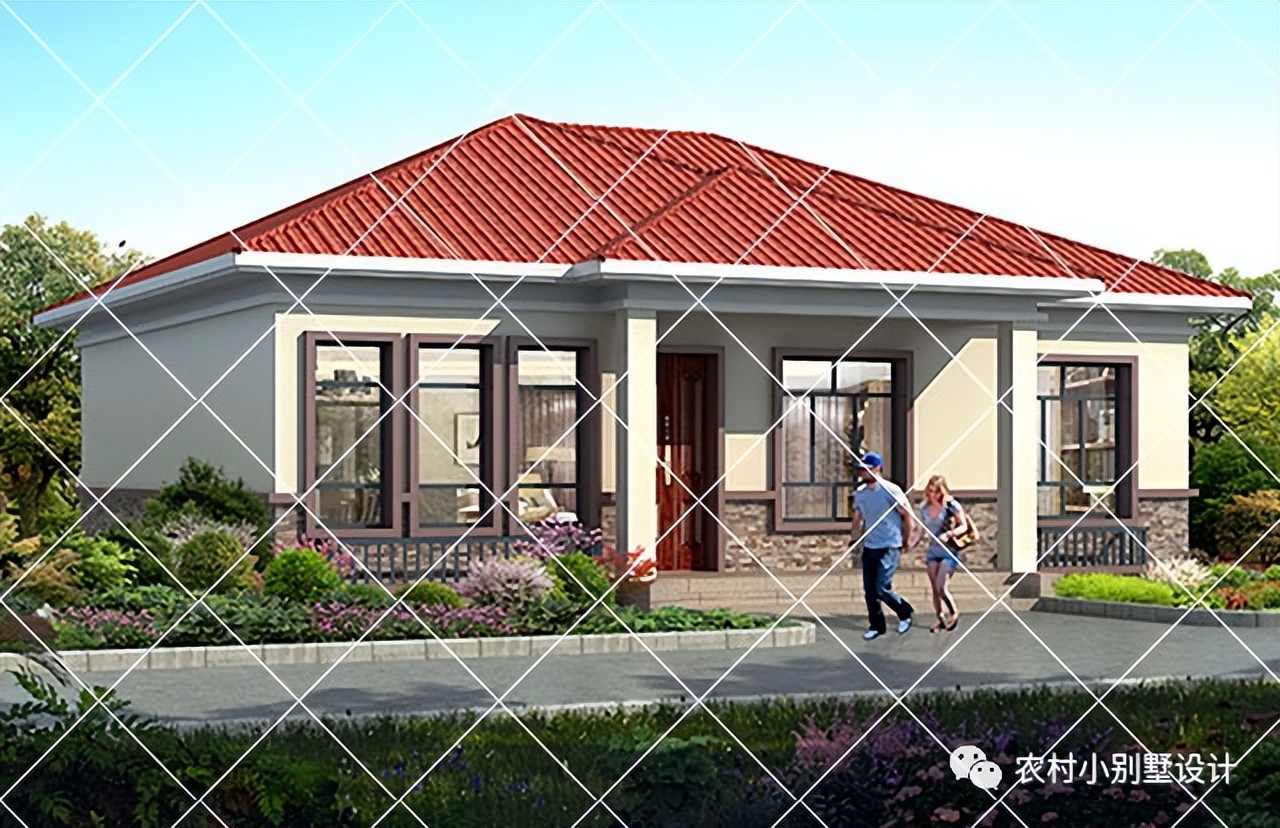 一层半层小别墅新款农村自建房,农村自建房一层别墅设计最新款