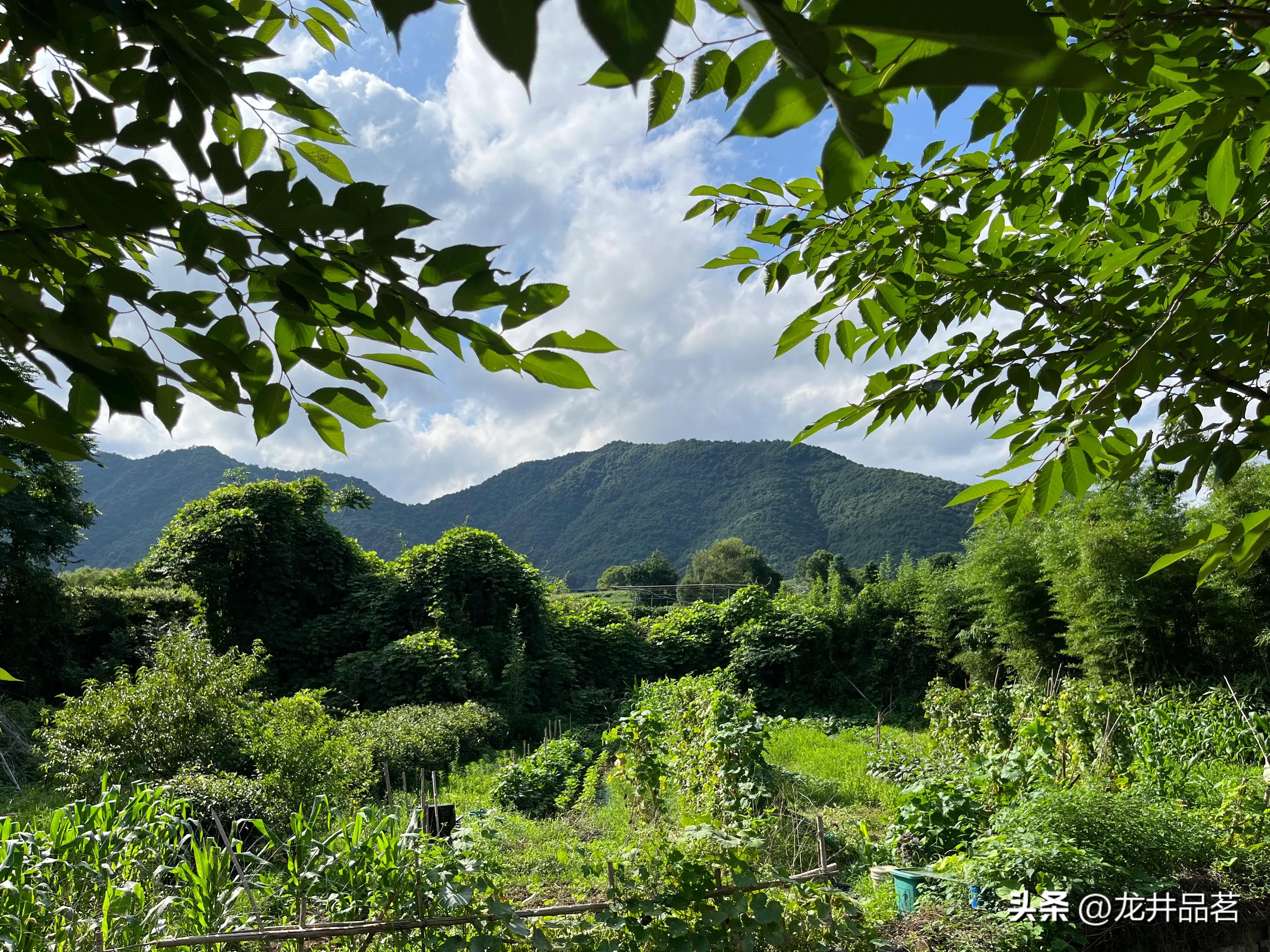 历年杭州行政区划调整,1982年杭州行政区划调整