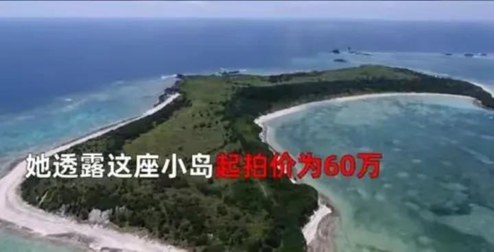 85后中国女子买下日本70万平小岛，在日本社交网络上引热议