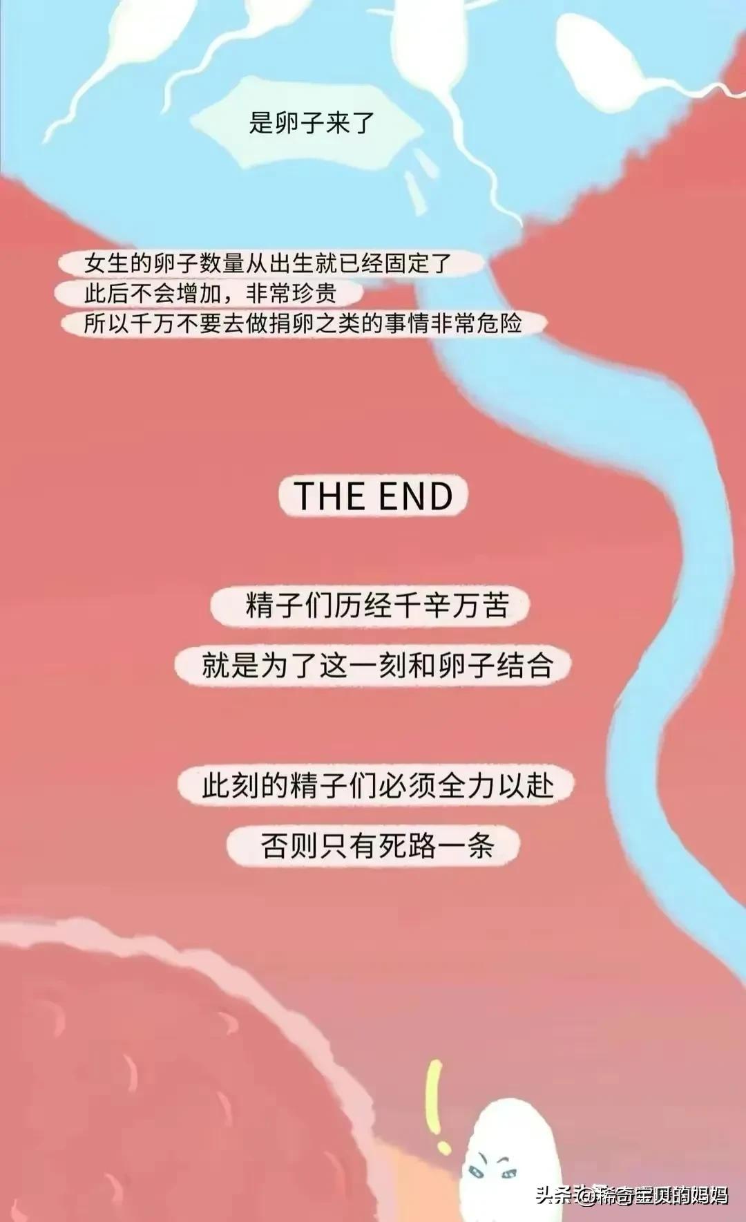 科普知识小蝌蚪怎么成长为青蛙,小蝌蚪动画的成长过程