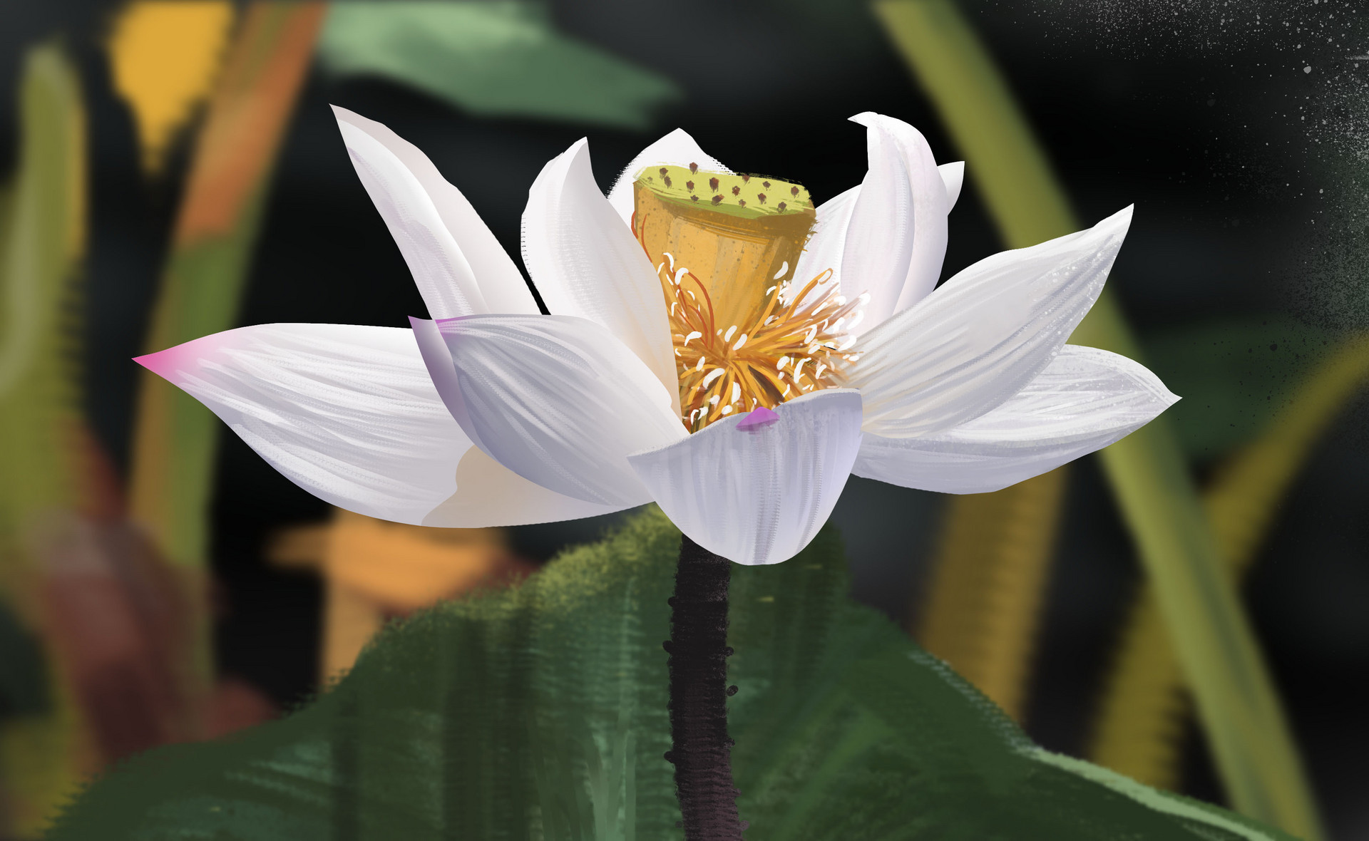 爱上一个女人怎么表白让她感动,对一个女人动心也不要轻易表白