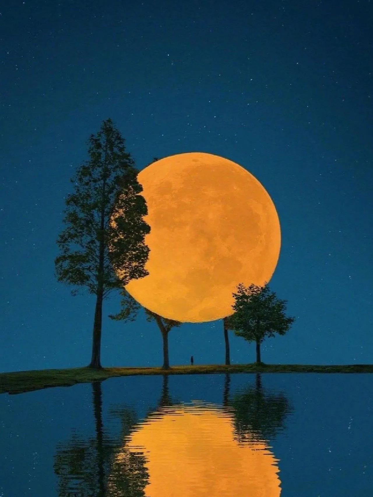 小众却又惊艳的句子,100句惊艳小众的句子