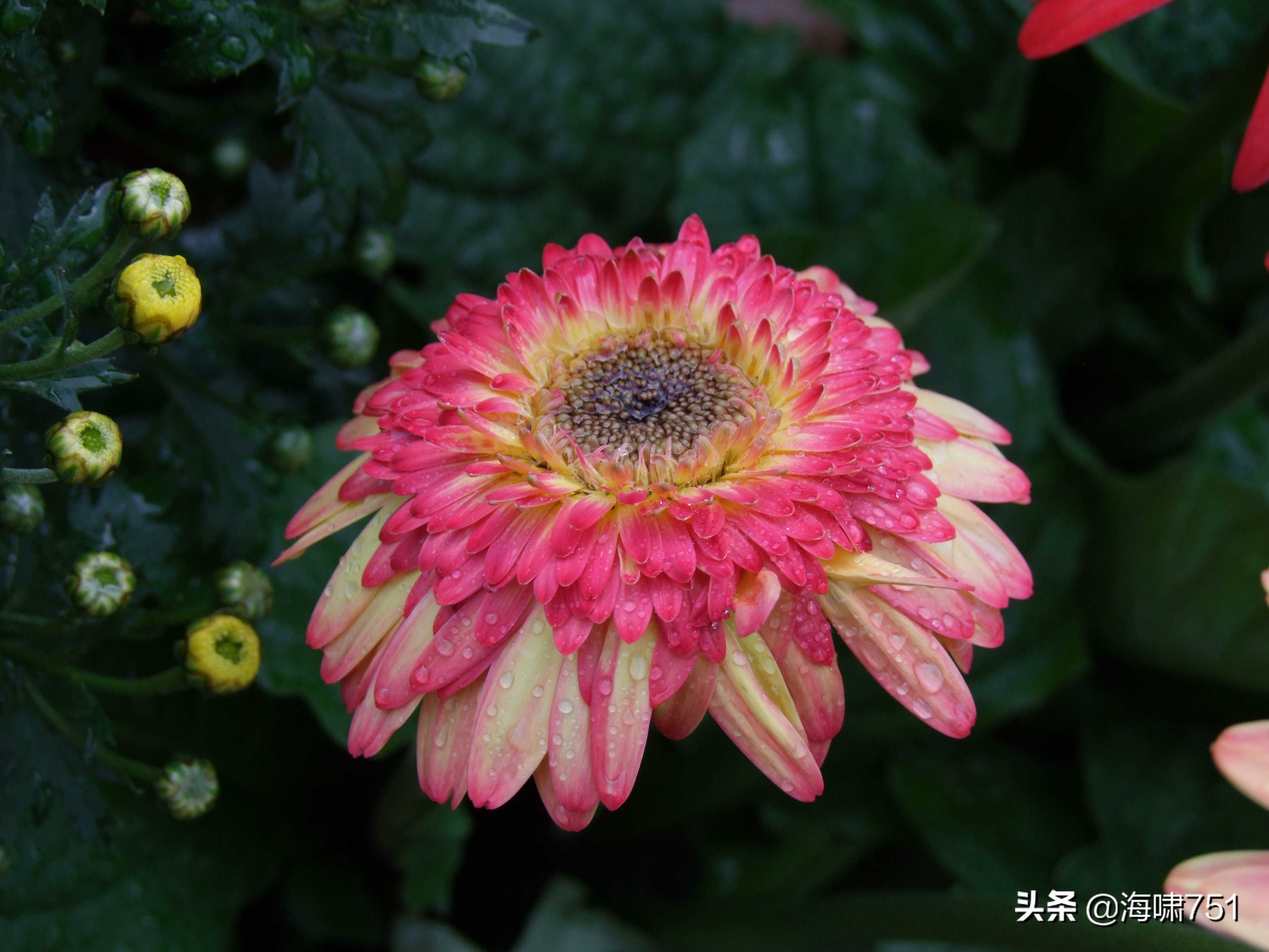 黄花岗公园开放时间,黄花岗公园停车