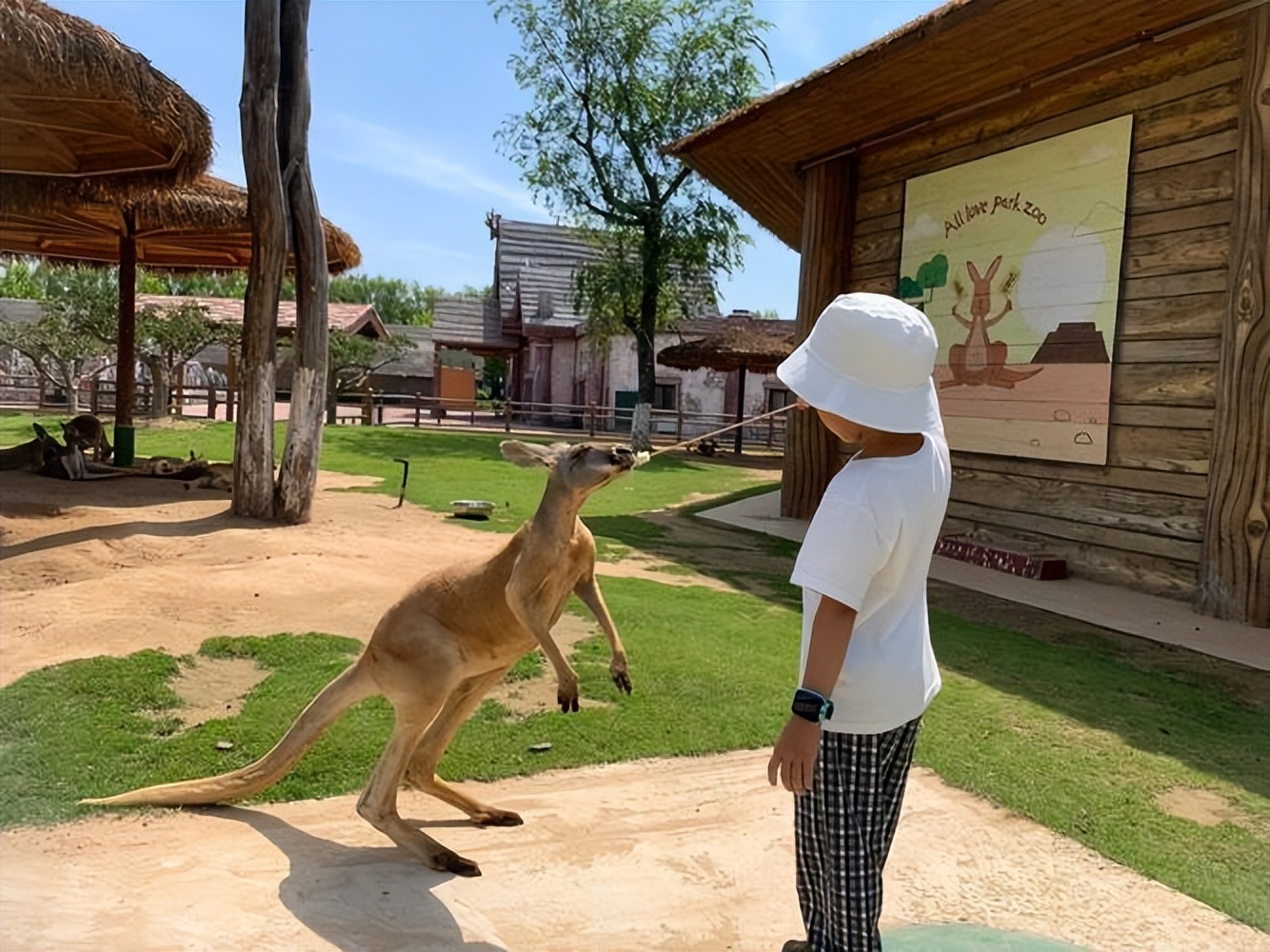 带娃旅游看海洋动物,带孩子去海洋馆玩的动物