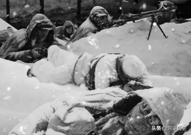 安徽痴呆老人嘟囔奇怪数字，儿女听后求助政府：查查27、81、241