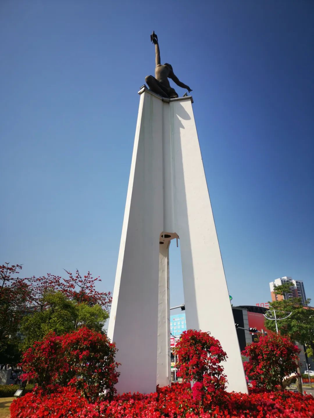 40年前TA被选为江门市花，如今成片成群绽放，扮靓整座城市！