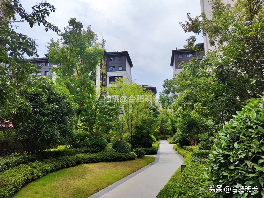 紧邻公园不如住在公园，实探以中式园林闻名的滨湖区葛洲坝紫郡府