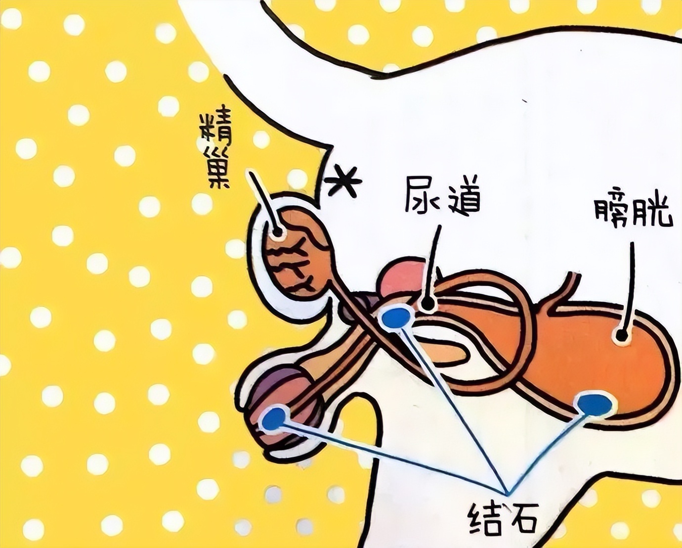 couldn'tconnecttohost