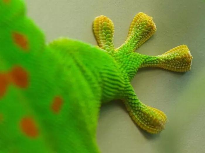 血月天文奇观图片,血月奇景图片