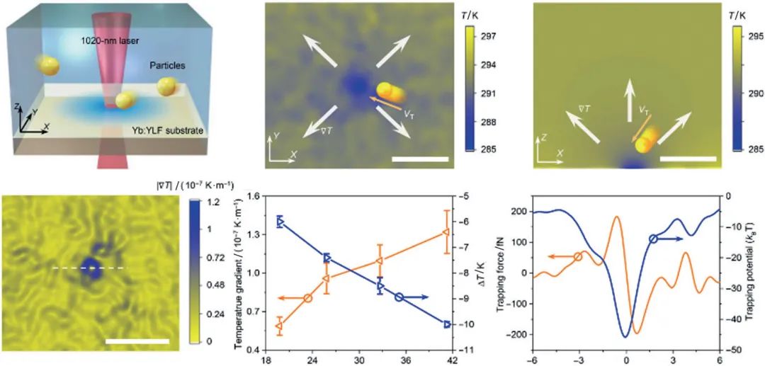 量子光学、太赫兹......2021年光学热点回眸（下）|回眸