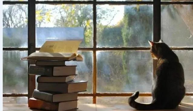 十几种治疗疑难杂症的书,身上很多病查不出原因怎么办