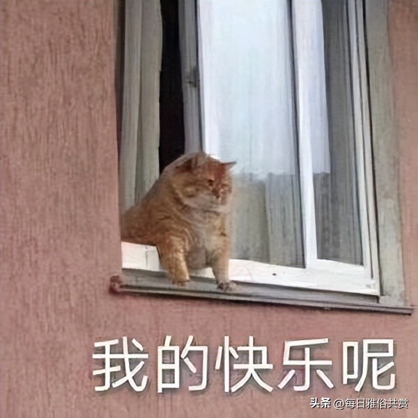 盘点那些“盐选神回复”,盐选神回复