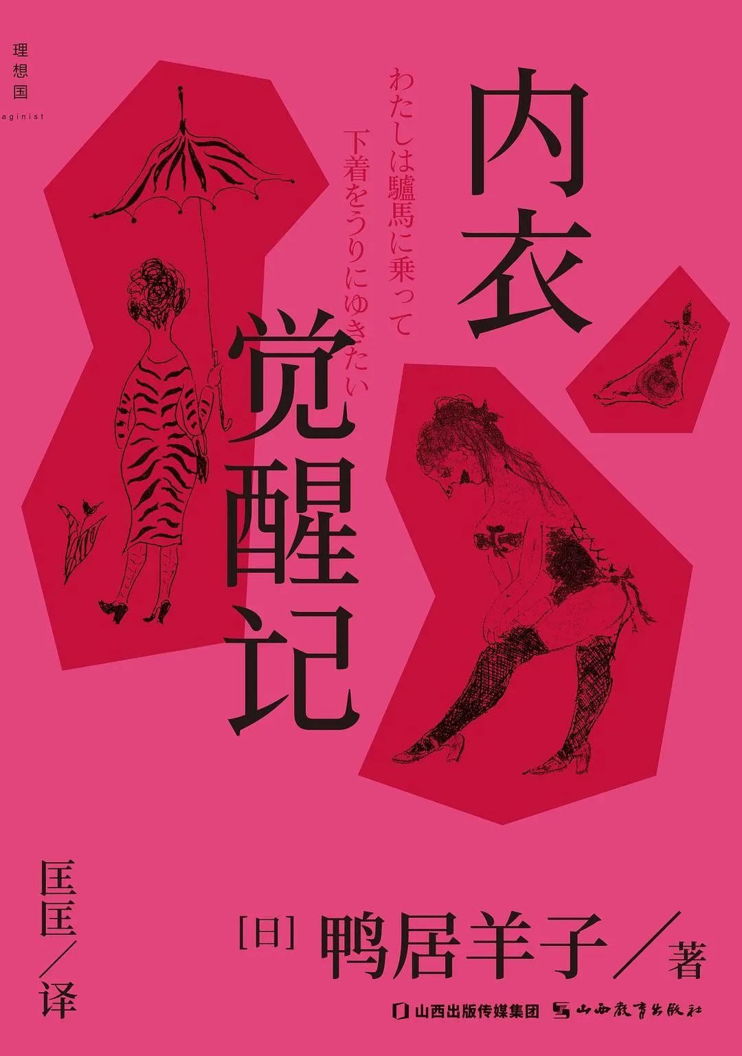 女性内衣的知识,女性内衣的各种类型