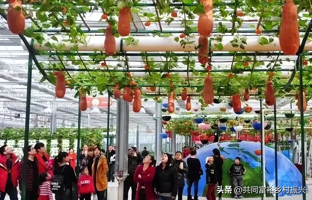 研学基地去哪里申请,研学基地申报找哪个部门