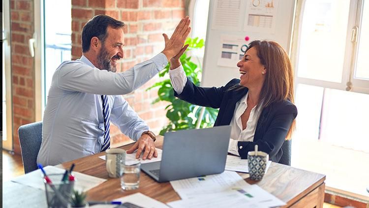 整篇文档翻译用哪个翻译软件好,翻译整个文档怎么直接翻译