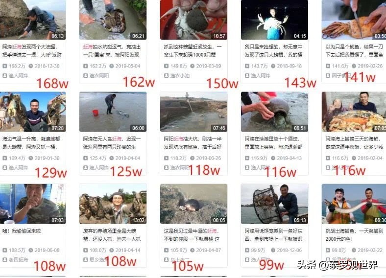 烟台赶海人一晚捞千余斤海肠吃,男子通宵赶海捡80斤海肠