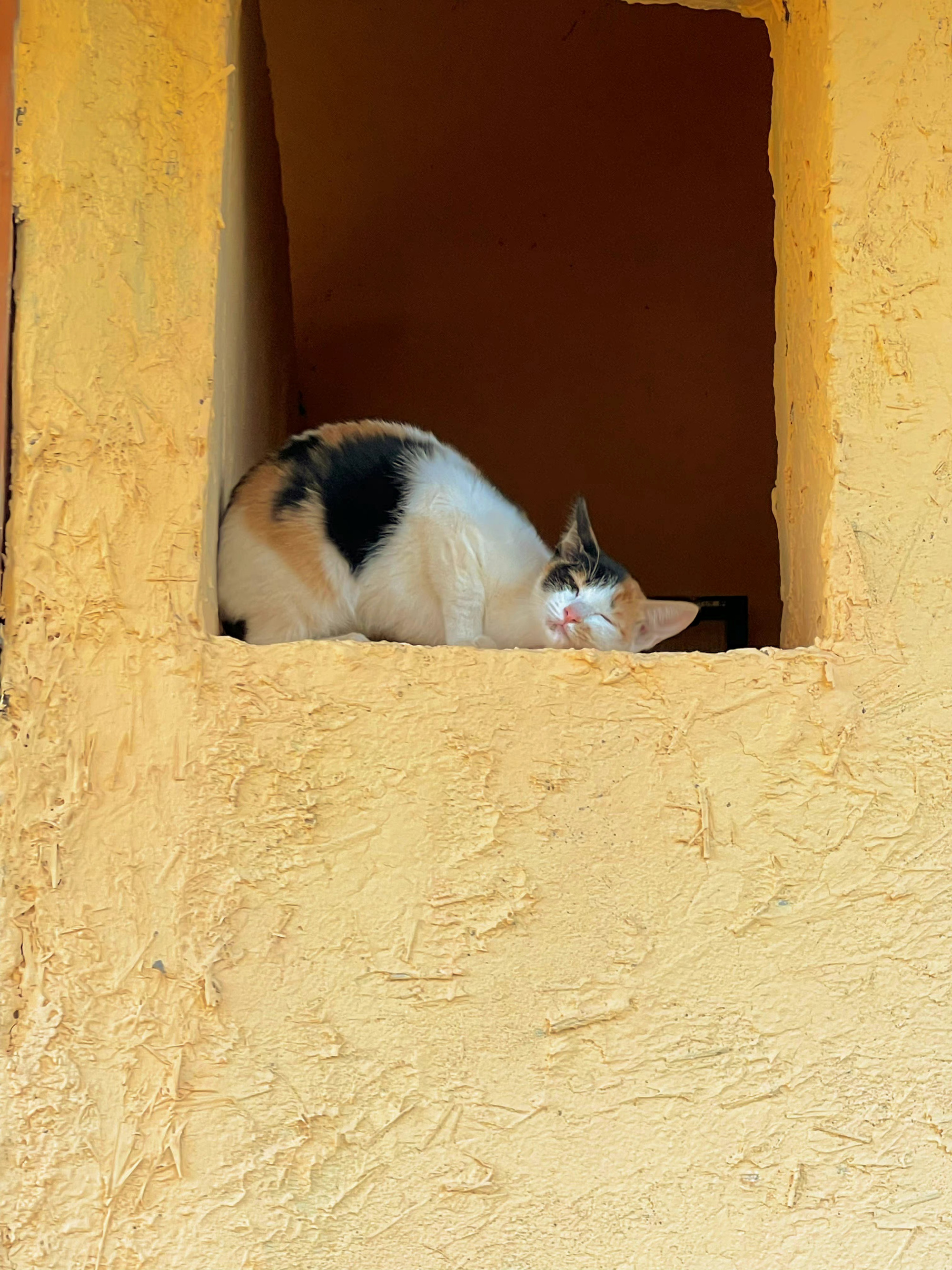 幽默风趣的对联文案,幽默风趣简短的文案