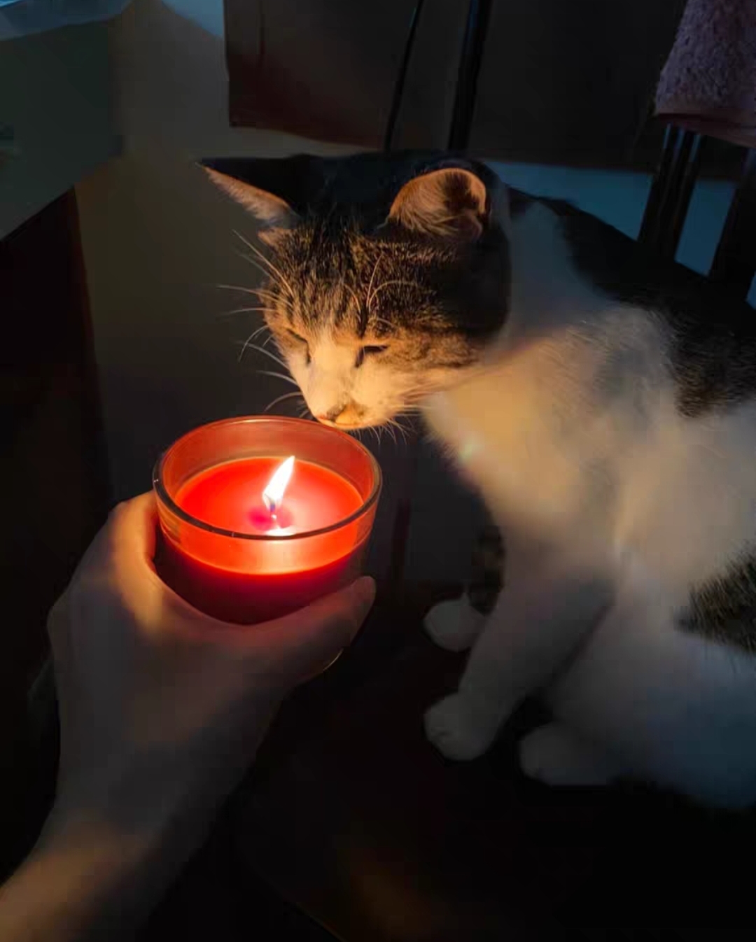 宜家必买的30件好物学生,宜家10元以下好物推荐