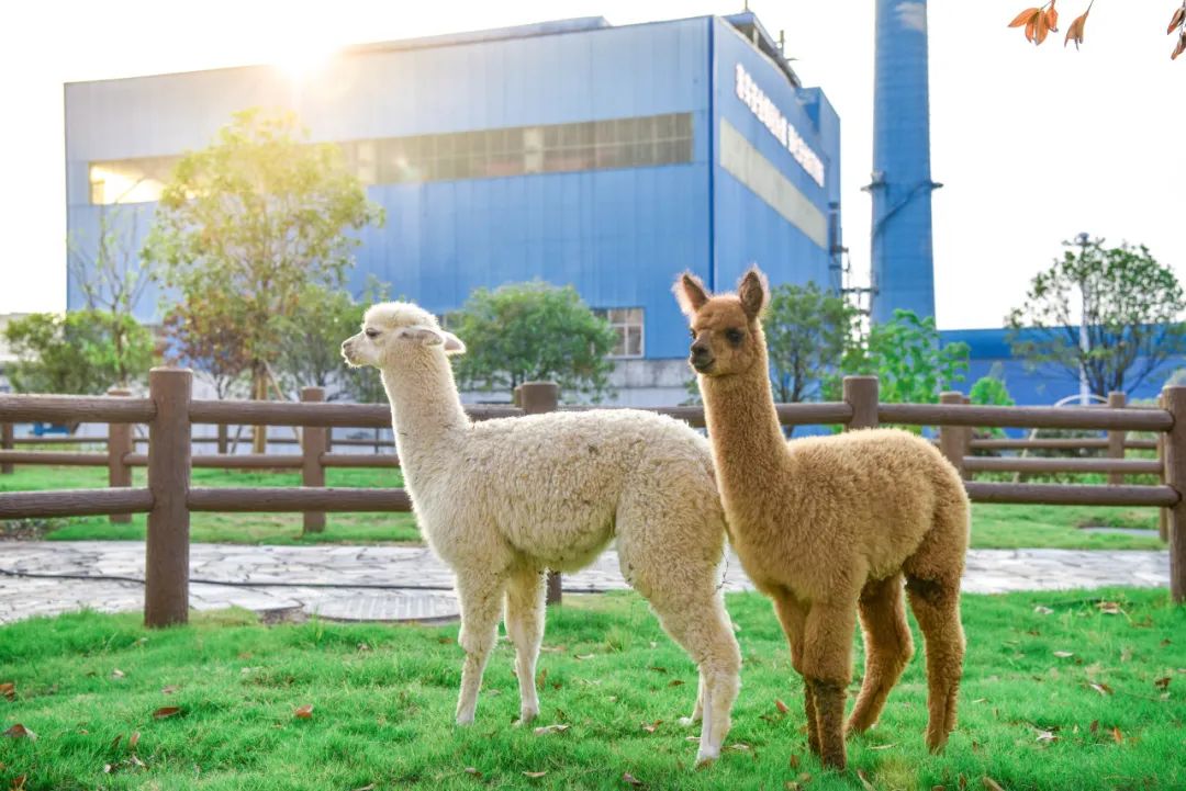 全国生态环境日主题,全国生态日绿水青山就是金山银山