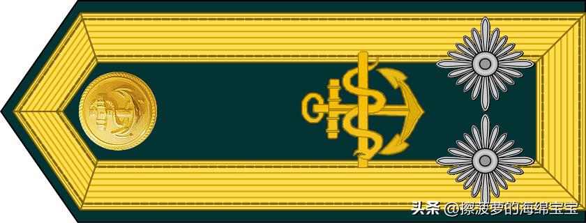 二战德国国防军医疗兵军衔标志