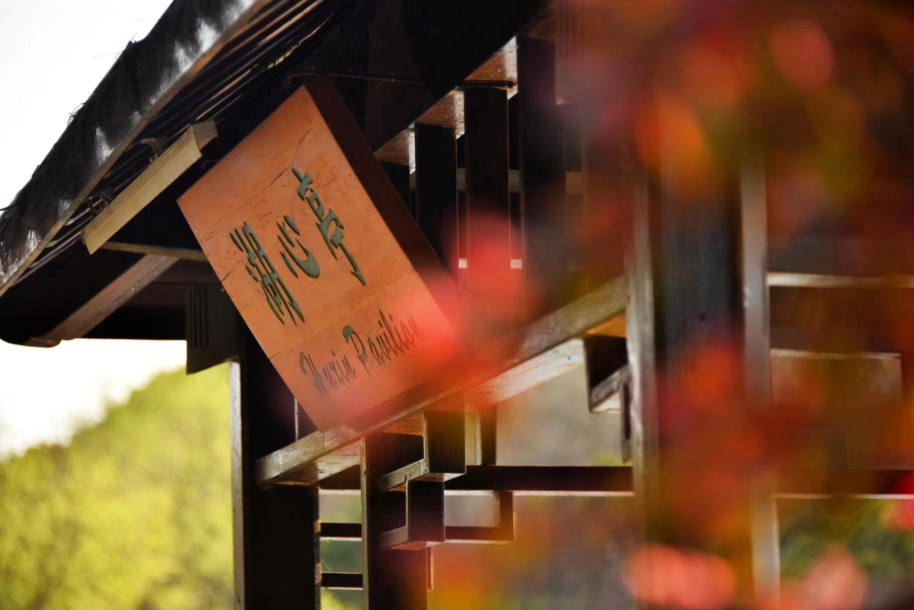 上海|西郊宾馆逃离人从众，五一专属度假酒店tips！