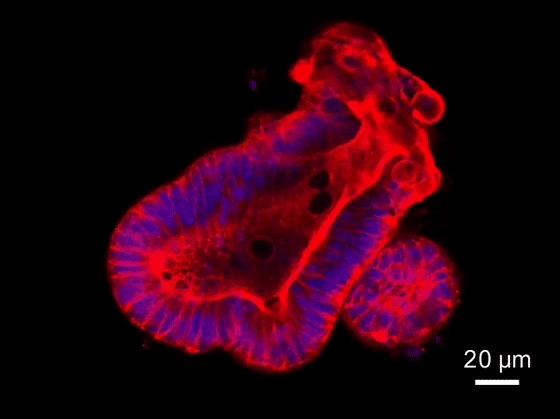 为掌握国人的“健康密码”！华中大人又造“黑科技”