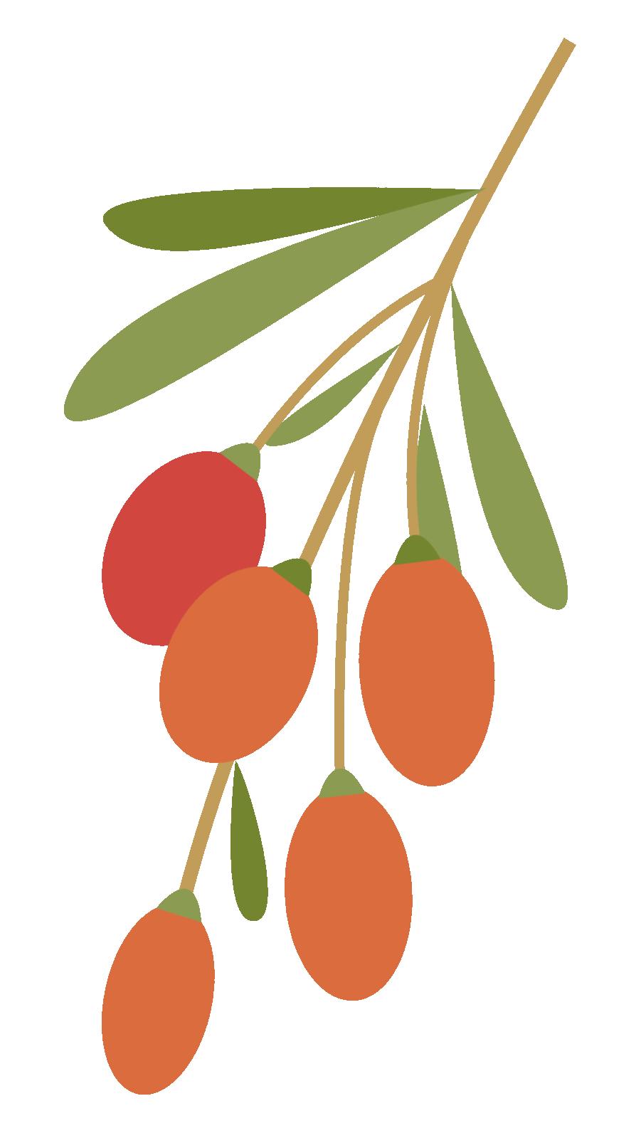 体检报告上胆固醇高别慌这样做,体检报告胆固醇高是怎么回事