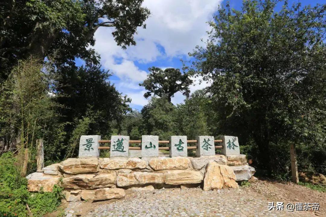 普洱六大茶山口味特点价格,六大茶山牌的普洱怎么样