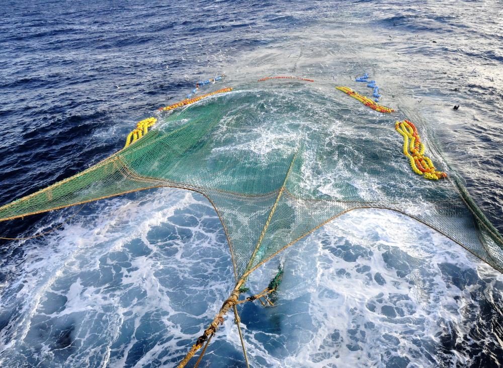 中国南极磷虾金矿,全球南极磷虾资源