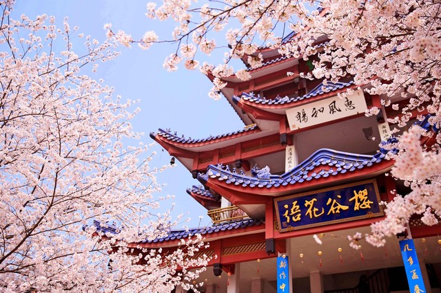 江苏旅游必去十大景点攻略,江苏旅游必去十大景点旅游攻略