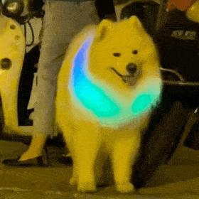 微课堂区分左右,微课堂的特色之处