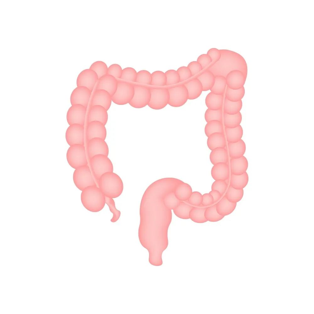 肠炎的症状有哪些小儿,肠炎的症状有哪些啊