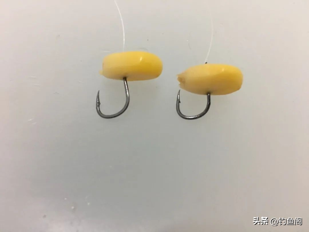 钓鲤鱼玉米好还是商品饵好,钓鲤鱼玉米和红虫颗粒哪个好