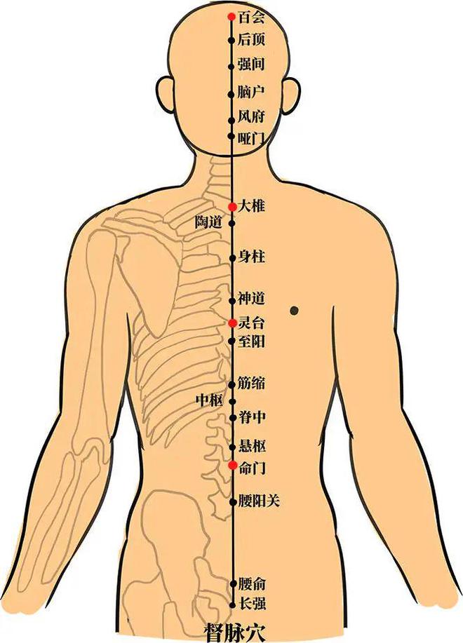 哺乳期肩膀疼痛要警惕的三种病,哺乳期肩膀疼怎么缓解最快最有效